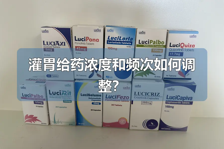灌胃给药浓度和频次如何调整?